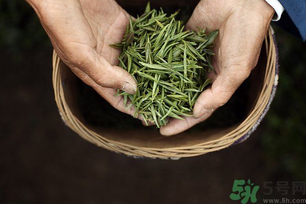 吃魚(yú)的時(shí)候能喝茶嗎？吃魚(yú)可以喝茶嗎？