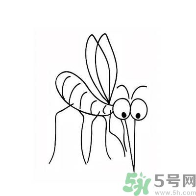 夏天家中有蒼蠅怎么辦？夏天如何滅蒼蠅？
