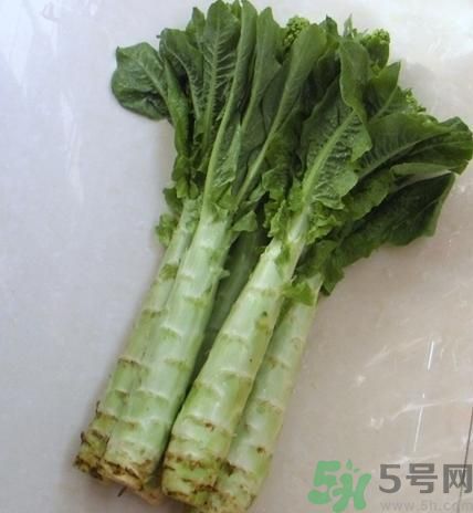 筍子是不是發(fā)物？筍子是發(fā)物嗎？