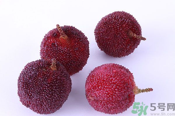 楊梅里面有小蟲怎么洗？楊梅里的蟲子怎么弄出來？