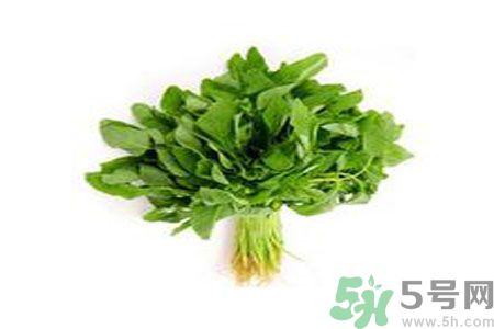 莧菜可以生吃嗎？莧菜生吃了會怎樣？