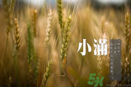 小滿名字的由來？小滿是什么意思？