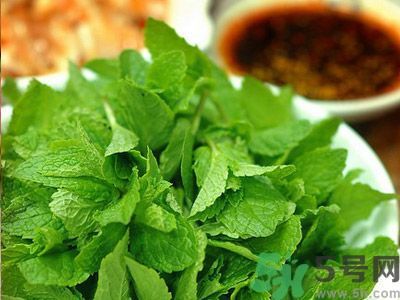 薄荷可以炒菜吃嗎？薄荷可以用來(lái)炒菜嗎？