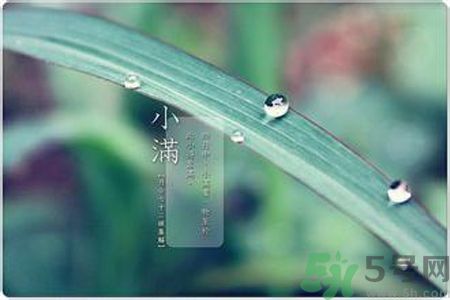 小滿容易得什么皮膚??？小滿得了皮膚病怎么辦？