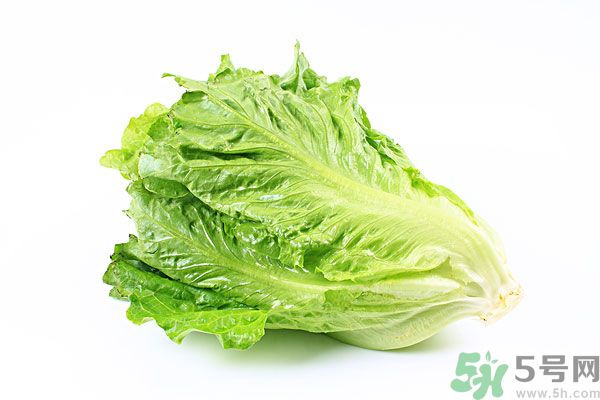 生菜在冰箱放久了能吃嗎？如何分辨生菜新不新鮮？