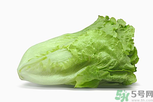 生菜在冰箱放久了能吃嗎？如何分辨生菜新不新鮮？