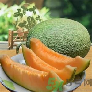 吃哈密瓜可以喝可樂(lè)嗎？喝可樂(lè)可以吃哈密瓜嗎？