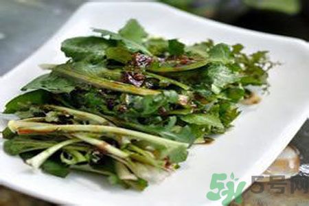 苦菜是酸性還是堿性？苦菜是堿性的嗎？