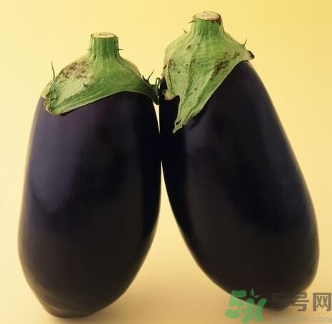 青皮茄子和紫皮茄子有什么區(qū)別？青皮茄子好還是紫皮茄子好？