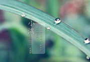 為什么小滿濕氣重？小滿怎么除濕氣？