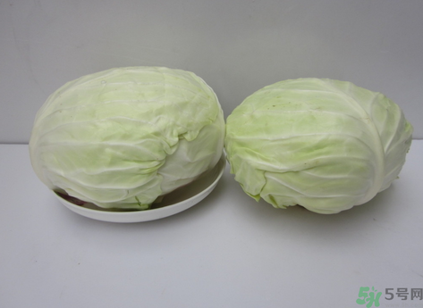 包菜榨汁要加水嗎？包菜汁怎么做？