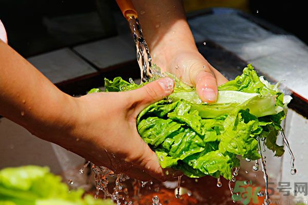 蔬菜怎么洗干凈？蔬菜怎么洗沒有寄生蟲？