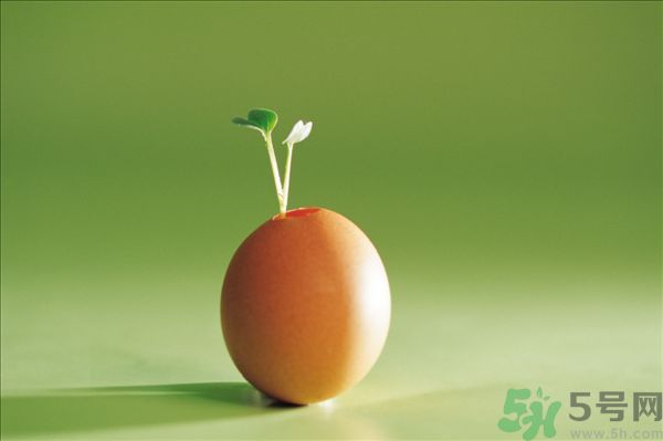 生菜和雞蛋能一起吃嗎？生菜和雞蛋一起怎么做？