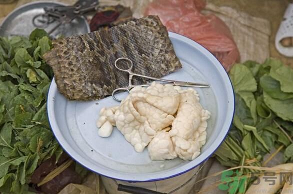 夏天吃蛇肉可以清火嗎？夏天吃蛇肉可以降火嗎？