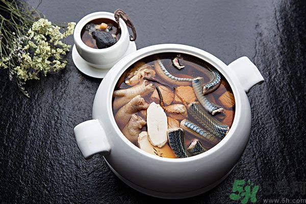 蛇肉是涼性嗎？蛇肉是涼性還是熱性？