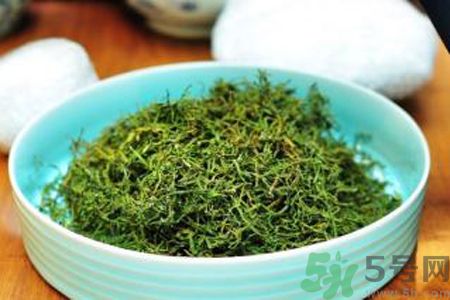苦菜茶可以和綠茶一起喝嗎？苦菜茶可以和其他茶一起喝嗎？