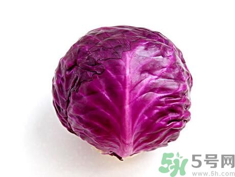 吃紫甘藍可以減肥嗎？吃紫甘藍有減肥作用嗎？