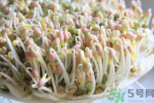 紅豆可以發(fā)豆芽嗎？紅豆芽可以吃嗎？
