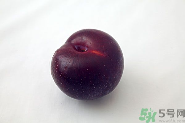 黑布林是李子嗎？黑布林的功效與作用