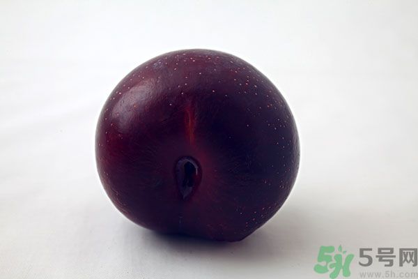 黑布林是李子嗎？黑布林的功效與作用