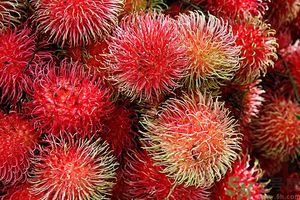 吃紅毛丹上火嗎？吃紅毛丹上火怎么辦？