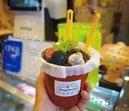 盆栽冰淇淋哪里買(mǎi)？盆栽冰淇淋怎么做？