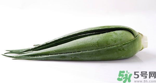 經(jīng)期可以吃蘆薈嗎？經(jīng)期吃蘆薈會(huì)肚子痛嗎？