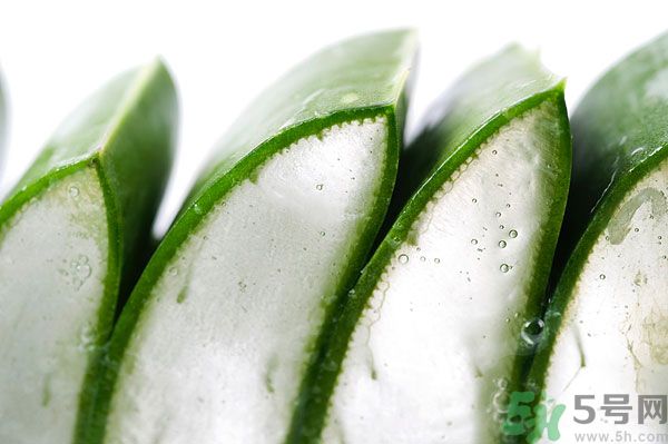 孕婦可以吃蘆薈嗎？孕婦吃蘆薈會(huì)怎樣？