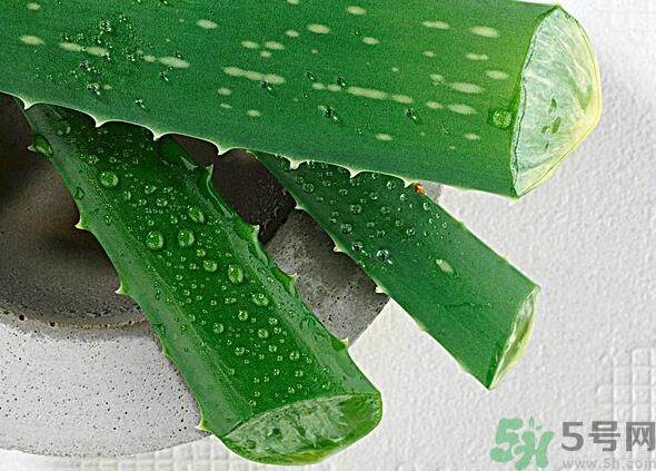 夏天吃蘆薈可以降火嗎？夏天吃蘆薈能清火嗎？