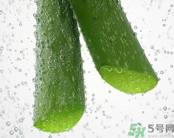 夏天吃蘆薈可以降火嗎？夏天吃蘆薈能清火嗎？