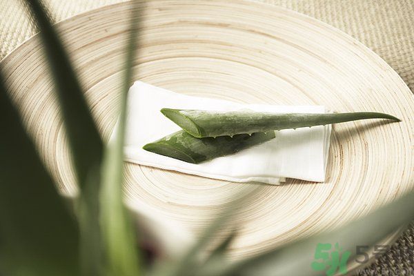 蘆薈是發(fā)物嗎？蘆薈是不是發(fā)物？