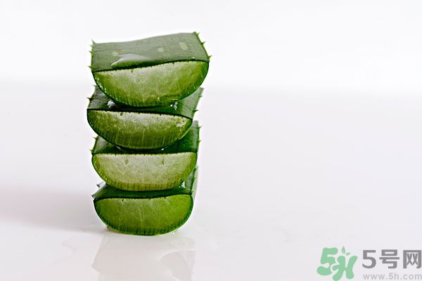 蘆薈是發(fā)物嗎？蘆薈是不是發(fā)物？