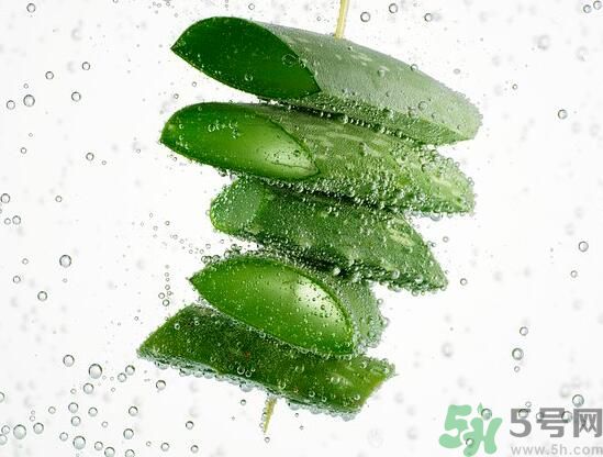 男性可以吃蘆薈嗎？男性吃蘆薈好不好？
