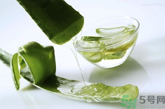 蘆薈酒有什么功效？蘆薈酒的功效是什么？