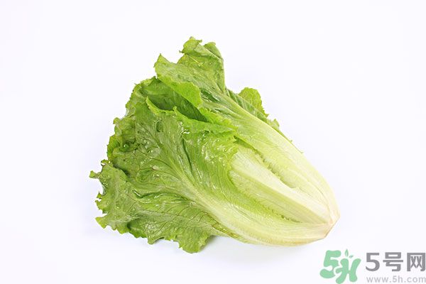 小孩可以吃生菜嗎？小孩吃生菜好嗎？
