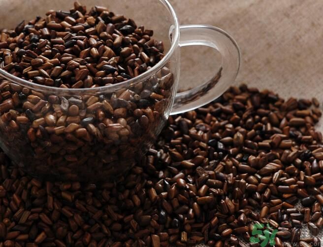 決明子泡茶喝可以減肥嗎？決明子泡茶喝有減肥效果嗎？