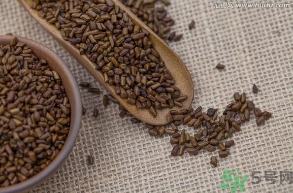孕婦可以喝決明子茶通便嗎？孕婦通便可以喝決明子茶嗎？