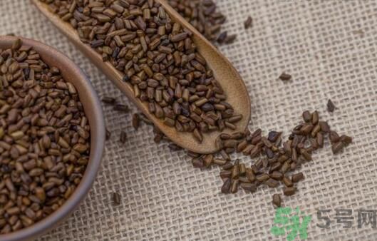 決明子泡茶加什么好？決明子和什么一起泡好？
