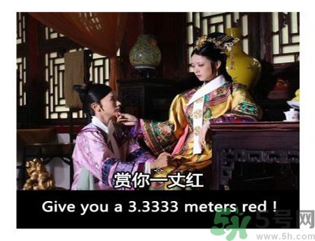 什么是蜀葵？蜀葵是一丈紅嗎？