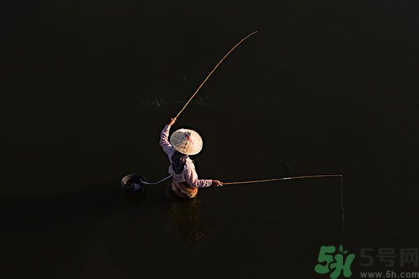 雷陣雨可以釣魚嗎？雷陣雨天氣適合釣魚嗎？