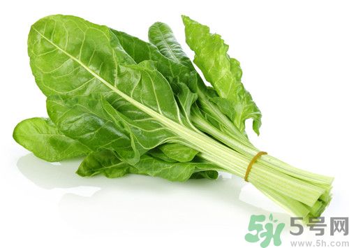 菠菜沒熟可以吃嗎?菠菜沒熟吃了會(huì)怎么樣