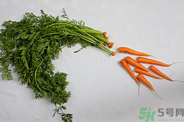 吃西瓜能防曬嗎？吃巧克力能紫外線嗎？