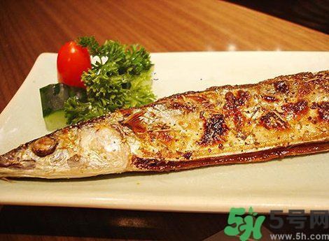 魚身上最有營養(yǎng)的地方是哪里？魚的功效與作用？