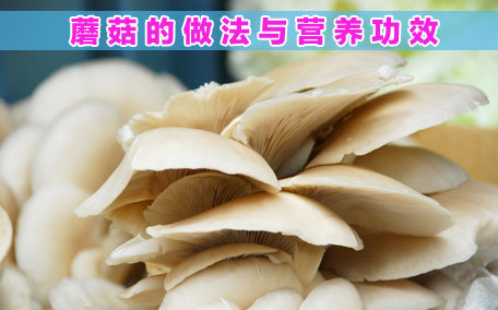 香菇有毒性嗎 新鮮香菇不過水有毒嗎