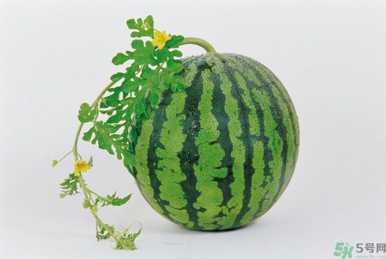 西瓜怎么挑熟的甜的？西瓜的儲存方法？