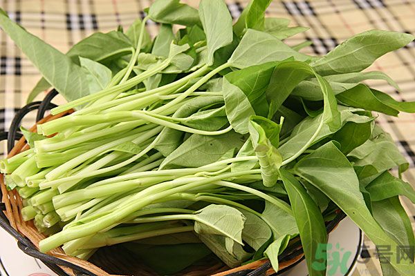 空心菜是菠菜嗎？空心菜是不是菠菜？