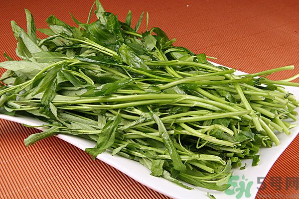 空心菜是菠菜嗎？空心菜是不是菠菜？