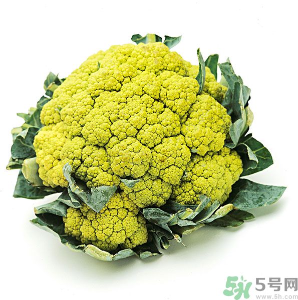 玉川和斯利安哪個好？葉酸片什么牌子最好？