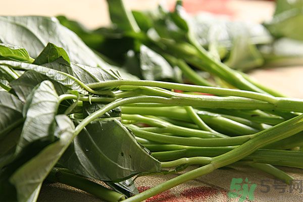 空心菜是菠菜嗎？空心菜是不是菠菜？