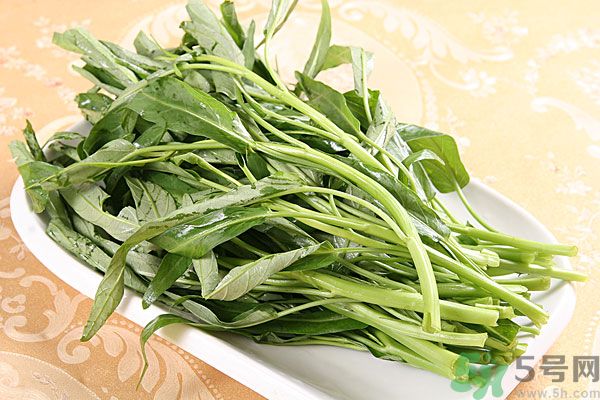 空心菜是菠菜嗎？空心菜是不是菠菜？